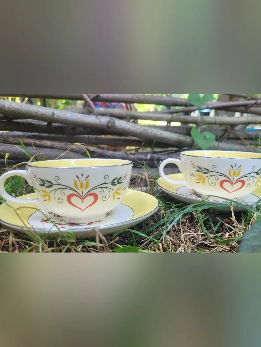 Dutch Farmer Tea Cups & Saucer Plate Set Farmhouse Farmers Wife Cottagecore